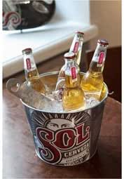 beer ice bucket