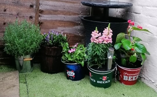 beer ice bucket into flowerpot hack