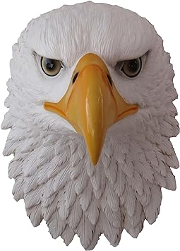 quirky home decor- eagle head